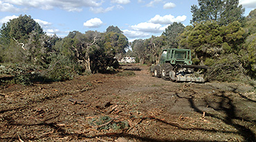 E-Mulch Land Clearing & Mulching